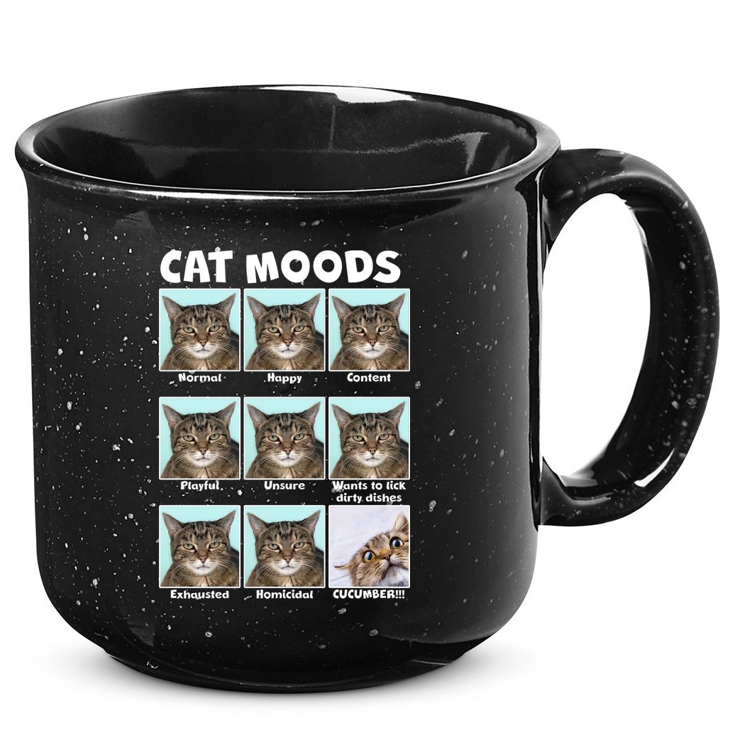 Cat Moods Funny Meme 15oz Campfire Ceramic Mug