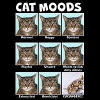 Cat Moods Funny Meme Polo