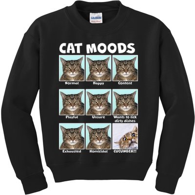Cat Moods Funny Meme Kids Sweatshirt