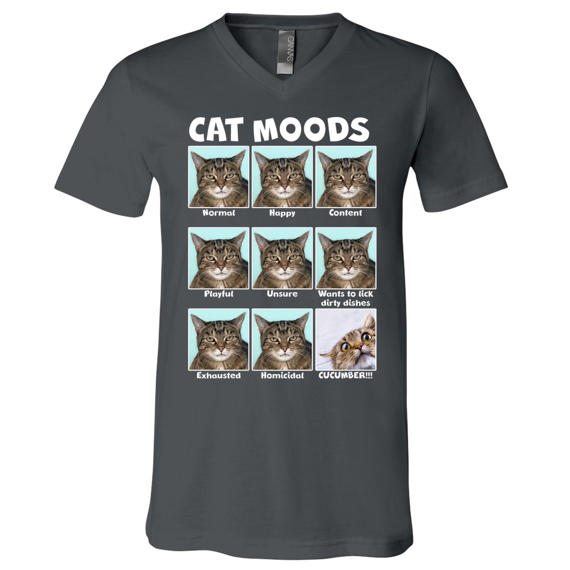 Cat Moods Funny Meme V-Neck T-Shirt