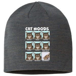 Cat Moods Funny Meme Sustainable Beanie