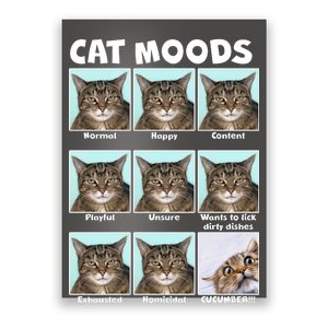 Cat Moods Funny Meme Poster