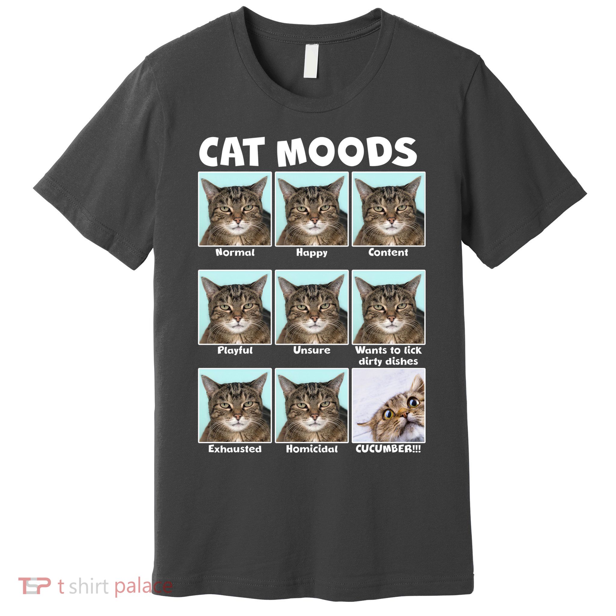 Cat Moods Funny Meme Premium T-Shirt