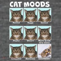 Cat Moods Funny Meme Baby Bodysuit