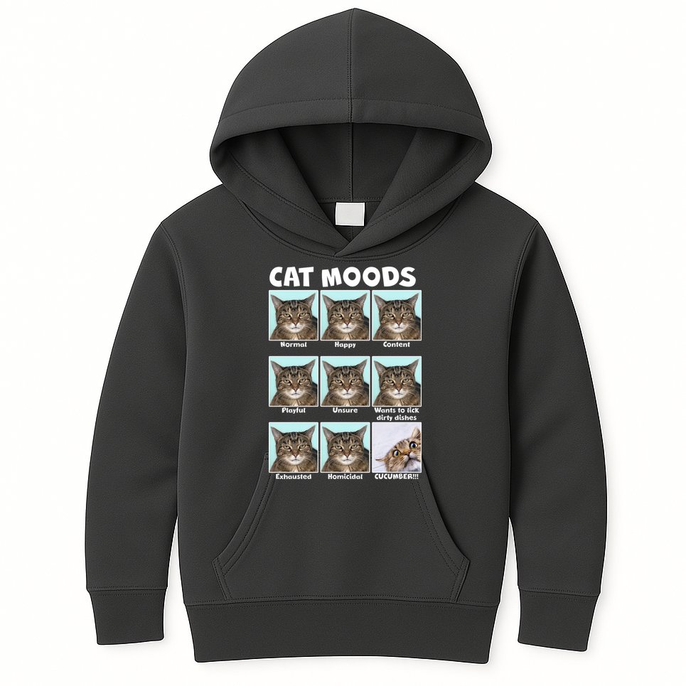Cat Moods Funny Meme Kids Hoodie