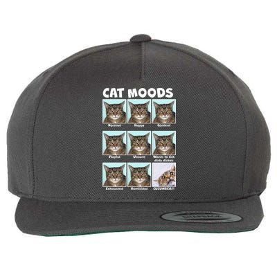 Cat Moods Funny Meme Wool Snapback Cap