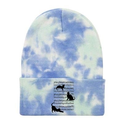 Cat Music Note Sheet Tie Dye 12in Knit Beanie