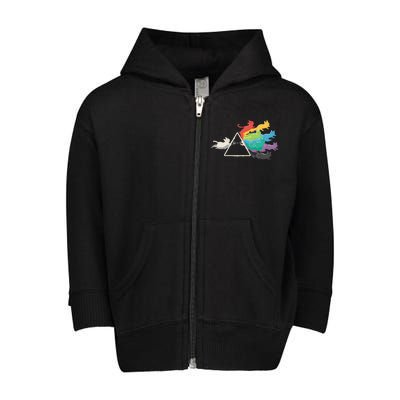 Cat Rainbow Prism Toddler Zip Fleece Hoodie