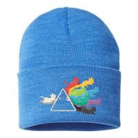 Cat Rainbow Prism Sustainable Knit Beanie