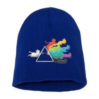 Cat Rainbow Prism Short Acrylic Beanie