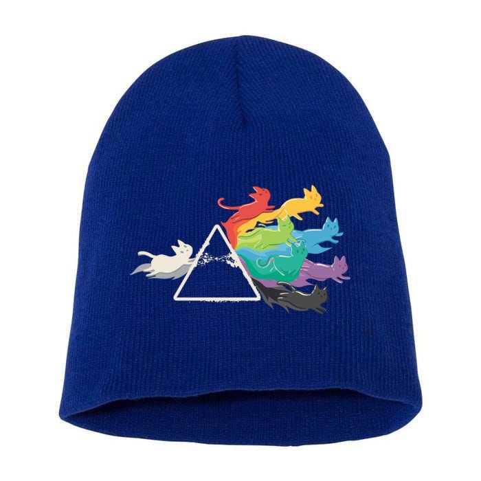 Cat Rainbow Prism Short Acrylic Beanie