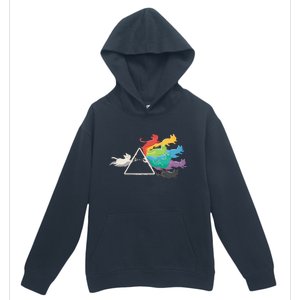 Cat Rainbow Prism Urban Pullover Hoodie