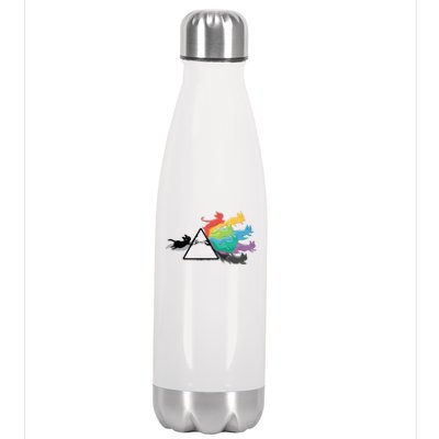 Cat Rainbow Prism Stainless Steel Insulated Water Bottle