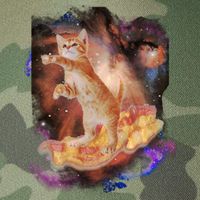 Cat Surfing Bacon In Space Legacy Tie Dye Trucker Hat
