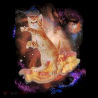 Cat Surfing Bacon In Space Tall T-Shirt
