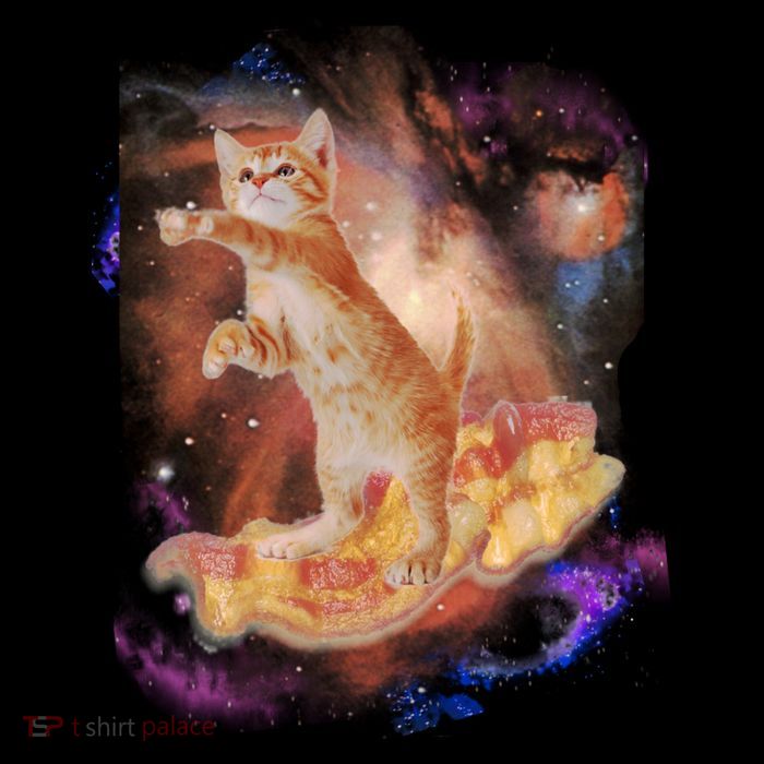 Cat Surfing Bacon In Space Drawstring Bag