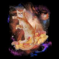 Cat Surfing Bacon In Space 16 in Basic Backpack