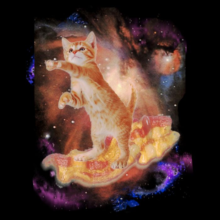 Cat Surfing Bacon In Space 16 in Basic Backpack