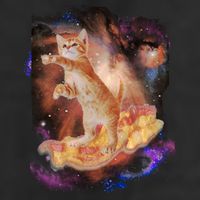 Cat Surfing Bacon In Space Hat