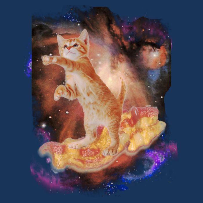Cat Surfing Bacon In Space Infant Baby Jersey Bodysuit