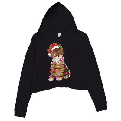 Cat Tangled in Christmas Lights Santa Kitten Crop Fleece Hoodie