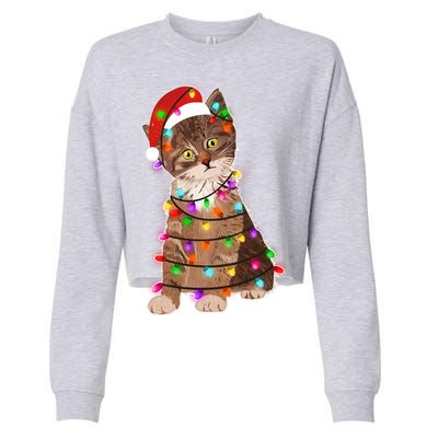 Cat Tangled in Christmas Lights Santa Kitten Cropped Pullover Crew