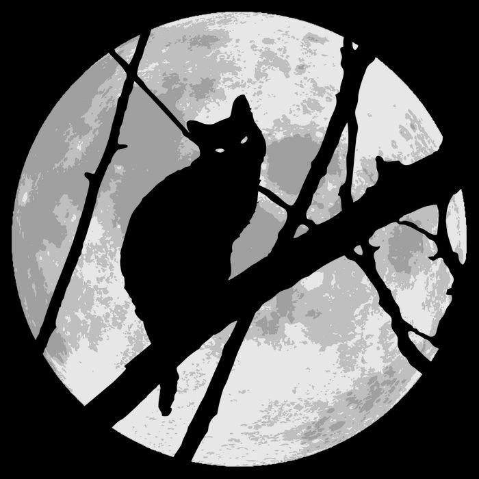 Cat To The Moon Impact Tech Backpack