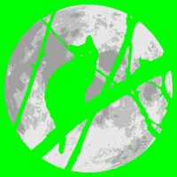 Cat To The Moon Long Sleeve Shirt