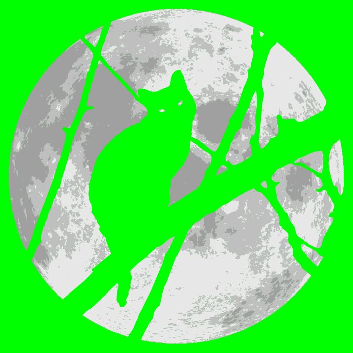 Cat To The Moon Long Sleeve Shirt