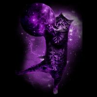 Cat World Galaxy Sweatshirt