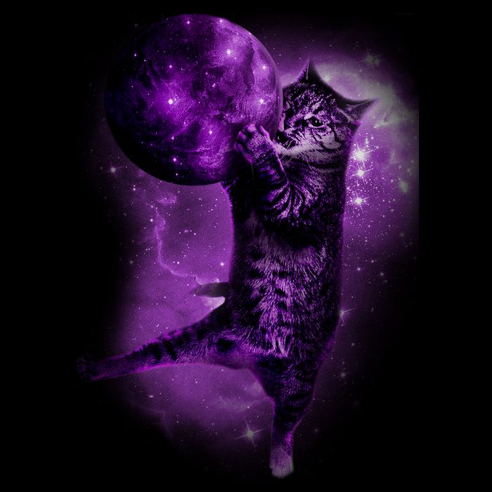 Cat World Galaxy Sweatshirt