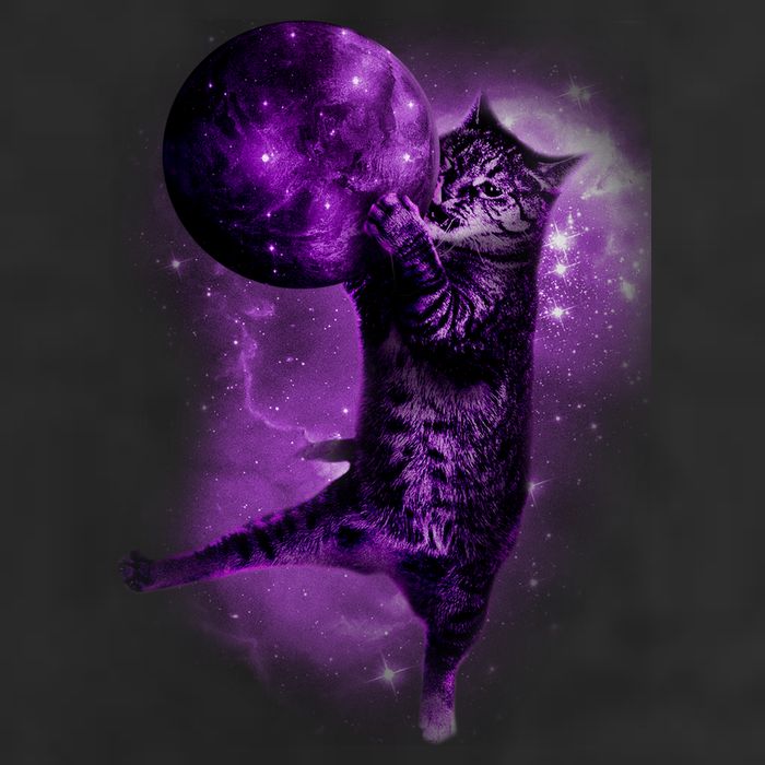 Cat World Galaxy 15oz Campfire Ceramic Mug
