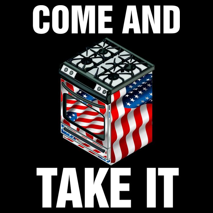 Come And Take President Joe Biden Ban Gas Stoves Funny Flat Bill Trucker Hat