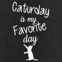 Caturday Is My Favorite Day Adult Drive Performance Visor