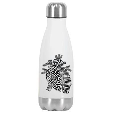 Cardiac Anatomic Typography Heart Cardiology Nurse Doctor Funny Gift Stainless Steel Insulated Water Bottle