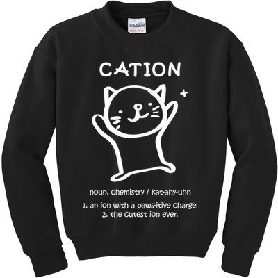 Cation Definition Ion Paws-itive Charge Kids Sweatshirt