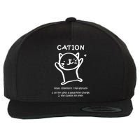 Cation Definition Ion Paws-itive Charge Wool Snapback Cap