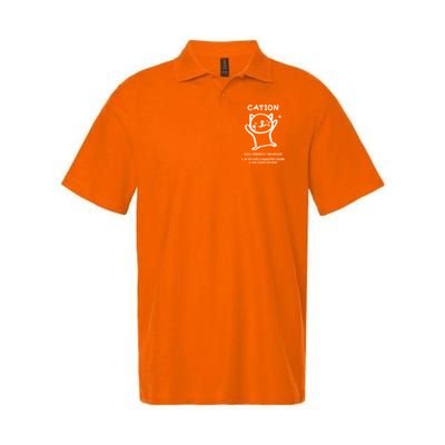 Cation Definition Ion Paws-itive Charge Polo