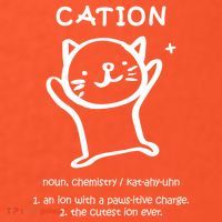 Cation Definition Ion Paws-itive Charge Poster