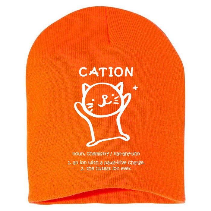 Cation Definition Ion Paws-itive Charge Short Acrylic Beanie