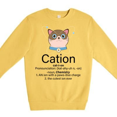 Cation Science Joke Funny Premium Crewneck Sweatshirt