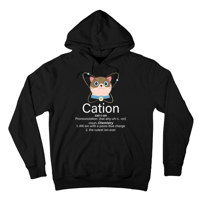 Cation Science Joke Funny Hoodie