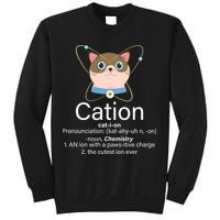 Cation Science Joke Funny Sweatshirt