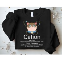 Cation Science Joke Funny Sweatshirt