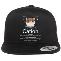 Cation Science Joke Funny Flat Bill Trucker Hat