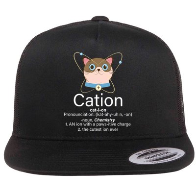 Cation Science Joke Funny Flat Bill Trucker Hat