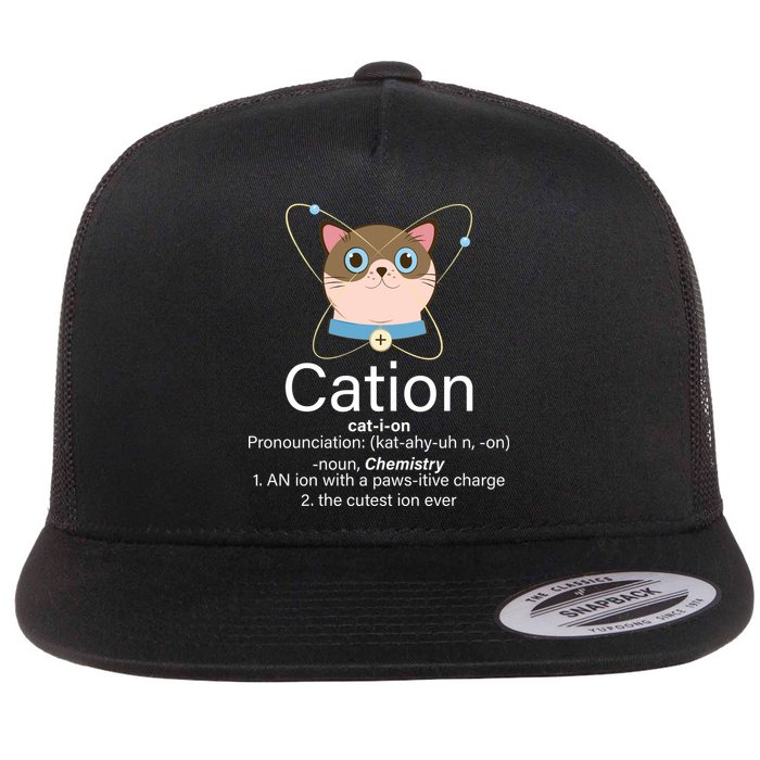 Cation Science Joke Funny Flat Bill Trucker Hat