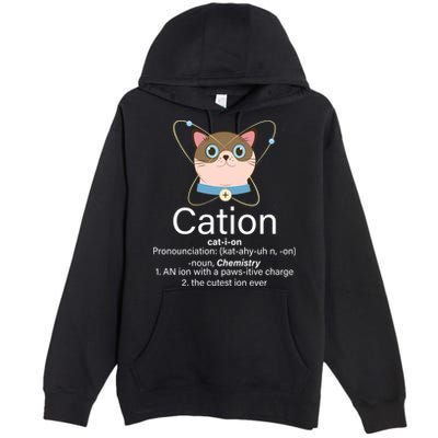 Cation Science Joke Funny Premium Pullover Hoodie
