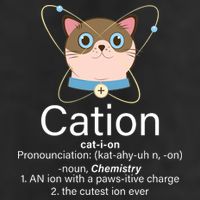 Cation Science Joke Funny 12oz Stainless Steel Coffee Mug