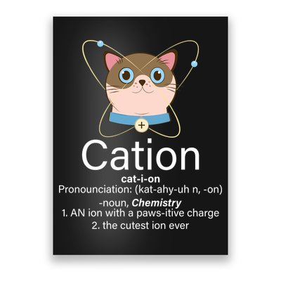Cation Science Joke Funny Poster